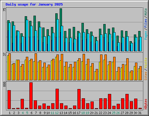 Daily usage for January 2025