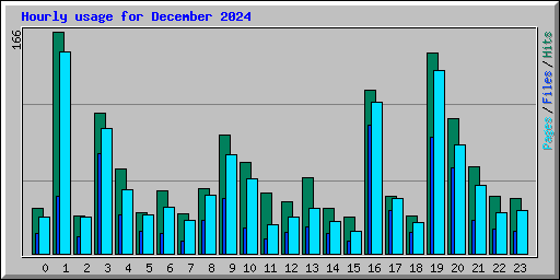 Hourly usage for December 2024