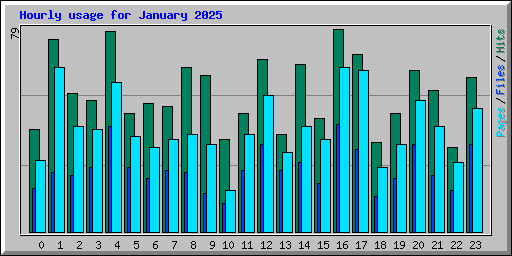 Hourly usage for January 2025