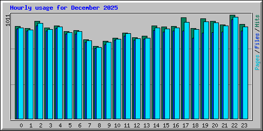 Hourly usage for December 2025