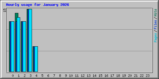 Hourly usage for January 2026
